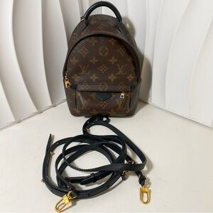 Louis Vuitton Monogram Palm Springs Mini Backpack